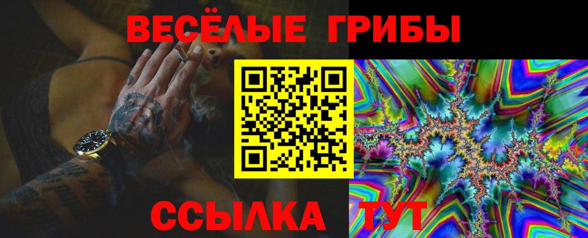 Галлюциногенные грибы прущие грибы  Вход с VPN  Бугуруслан 
